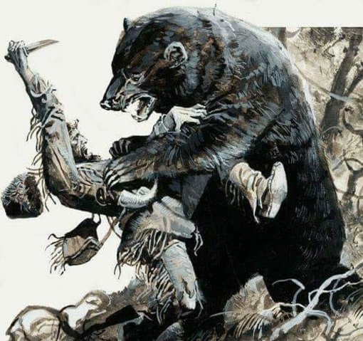 Kill a Bear